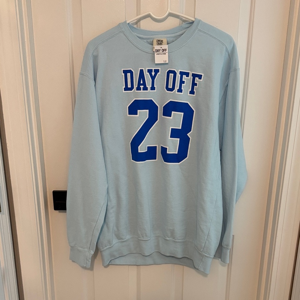 Comfort Colors Light Blue Crew Neck Sweater